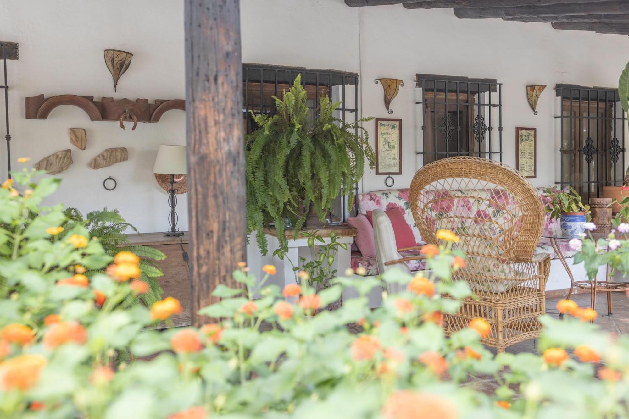La Cuadra, Finca A Los Pies De Sierra Nevada, A 10 Minutos Del Centro, Piscina, Jardin, Barbacoa La Zubia  Extérieur photo