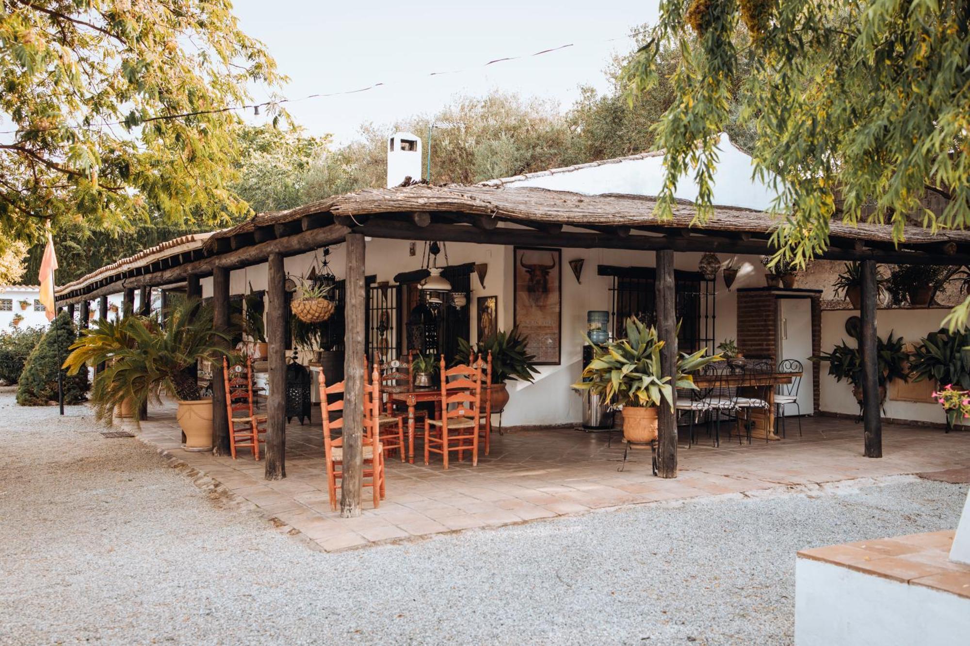 La Cuadra, Finca A Los Pies De Sierra Nevada, A 10 Minutos Del Centro, Piscina, Jardin, Barbacoa La Zubia  Extérieur photo