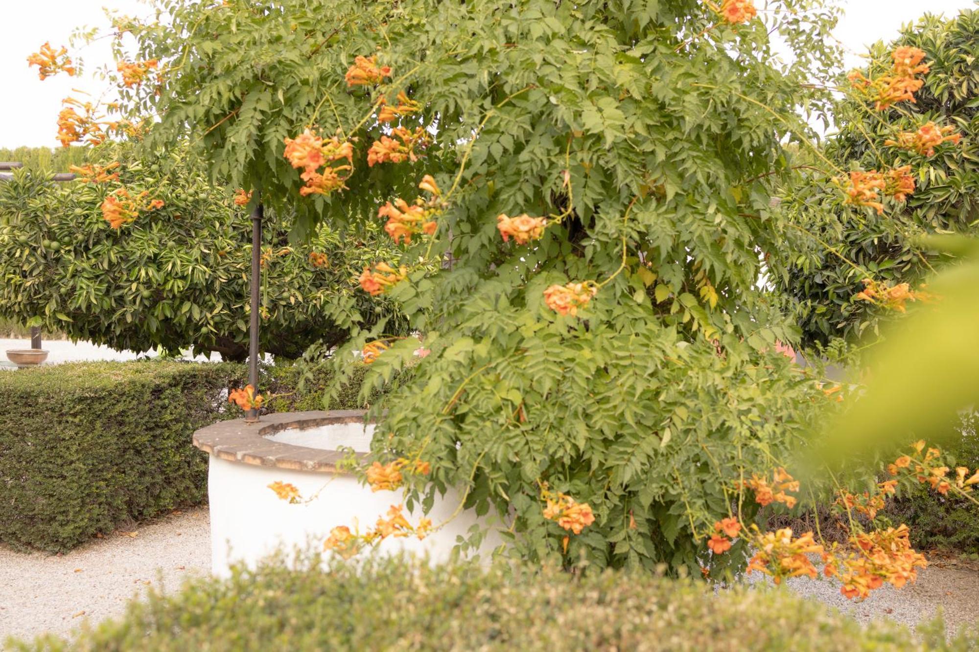 La Cuadra, Finca A Los Pies De Sierra Nevada, A 10 Minutos Del Centro, Piscina, Jardin, Barbacoa La Zubia  Extérieur photo