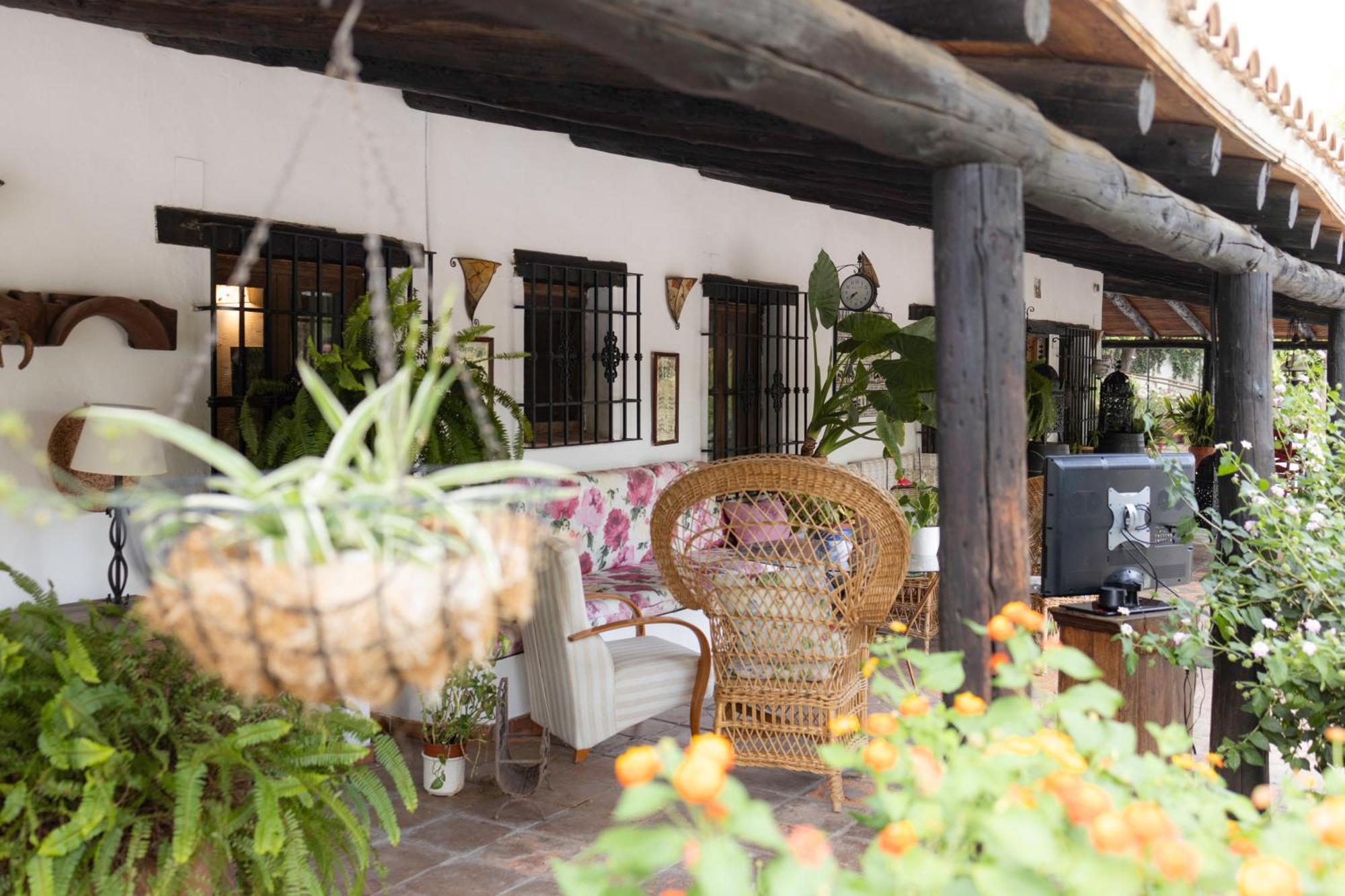 La Cuadra, Finca A Los Pies De Sierra Nevada, A 10 Minutos Del Centro, Piscina, Jardin, Barbacoa La Zubia  Extérieur photo